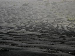 La_Palma_Lanzarote_2003-2004-025